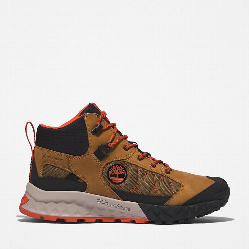 Timberland Trailquest Waterproof Planinarske Cipele Smeđe | 60863842
