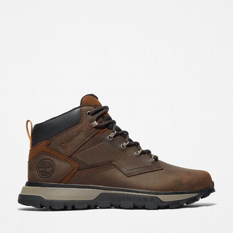 Timberland Treeline Planinarske Cipele Smeđe | 68006637
