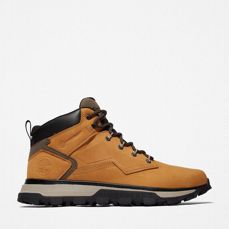 Timberland Treeline Planinarske Cipele Žute | 74093495