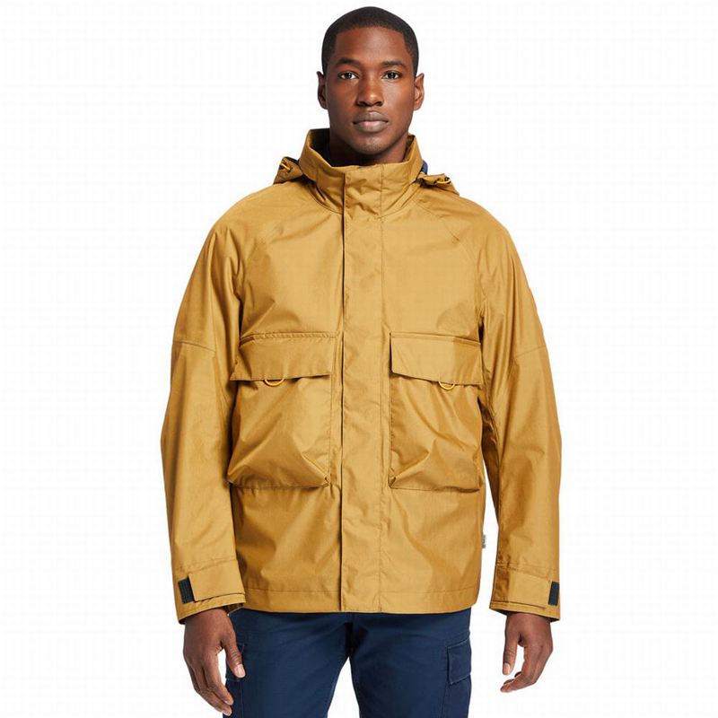 Timberland Welch Mountain Nepromociva Jakna Žute | 98326858