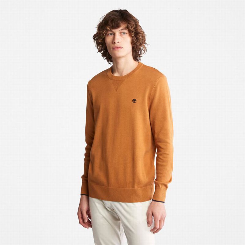 Timberland Williams River Organic Cotton Džemperi Žute | 59469621