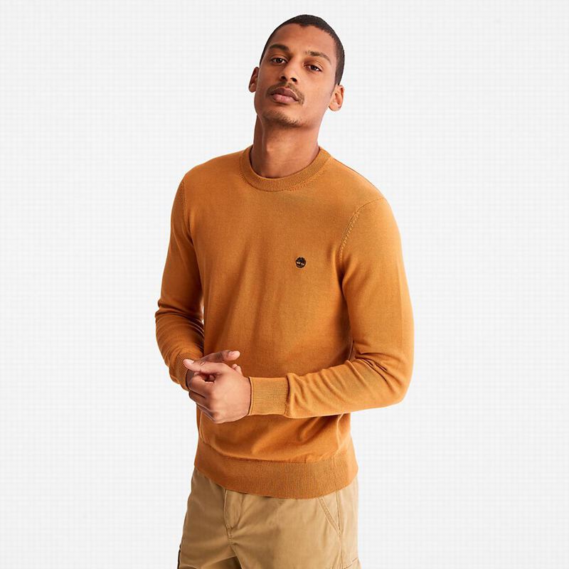 Timberland Williams River Organic Cotton Džemperi Žute | 73112561
