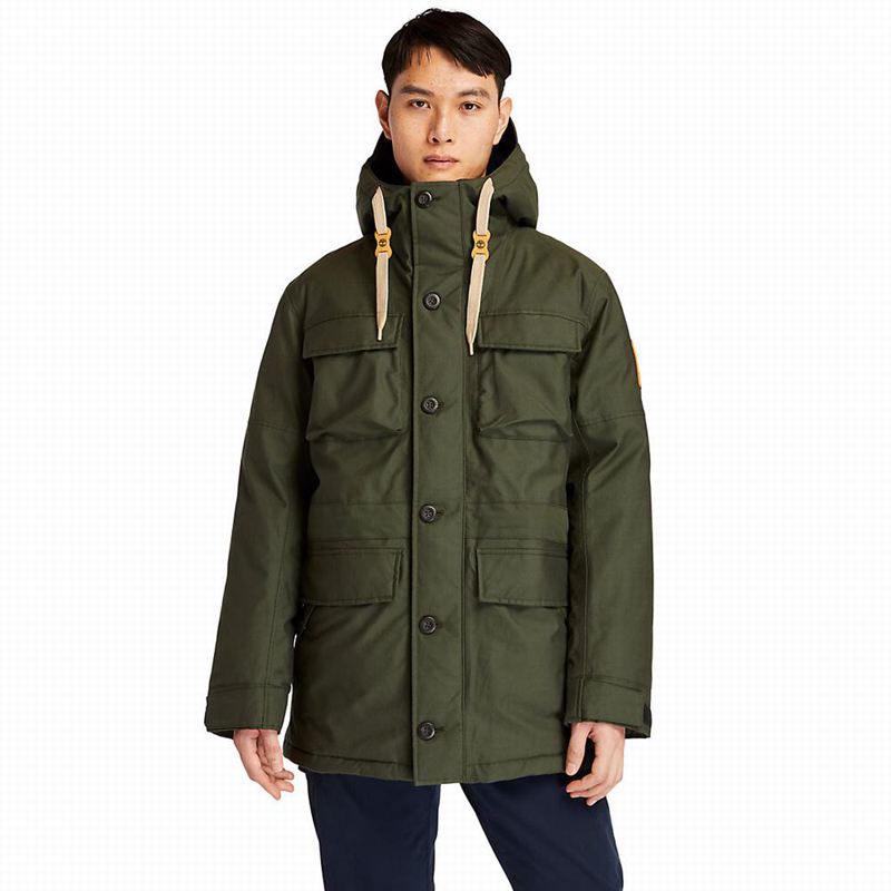 Timberland Wilmington DryVentField Parka Zelene | 65361493
